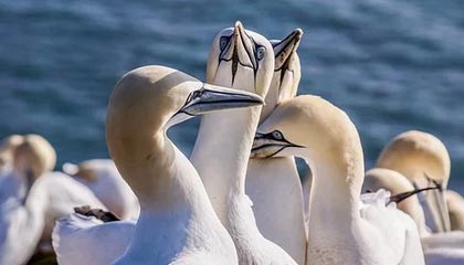 米乐M6中国大陆-中国足球热潮如何扣动万亿产业链的扳机？